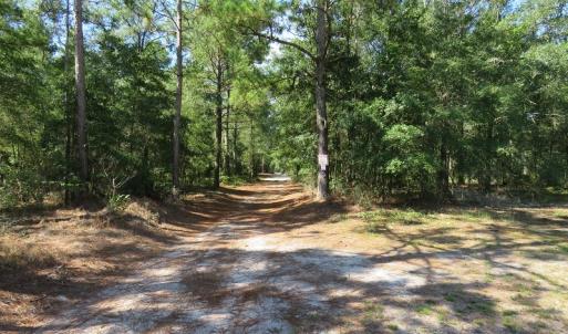 Photo #49 of SOLD property in 27500 NC 210 Hwy E, Currie, NC 330.0 acres
