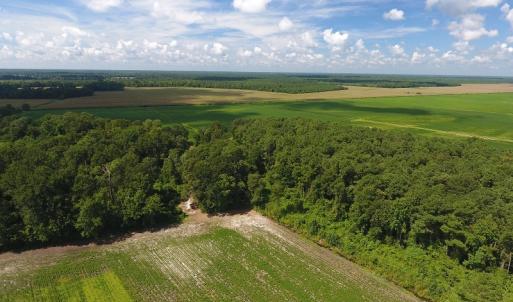 Photo #6 of SOLD property in 27500 NC 210 Hwy E, Currie, NC 330.0 acres