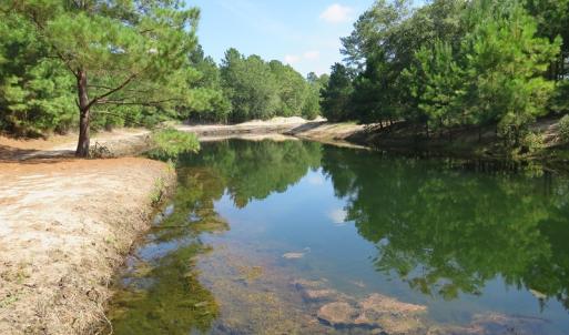 Photo #58 of SOLD property in 27500 NC 210 Hwy E, Currie, NC 330.0 acres