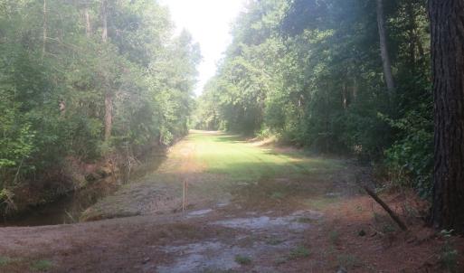 Photo #60 of SOLD property in 27500 NC 210 Hwy E, Currie, NC 330.0 acres