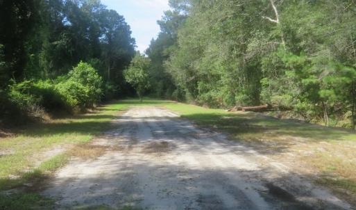 Photo #61 of SOLD property in 27500 NC 210 Hwy E, Currie, NC 330.0 acres
