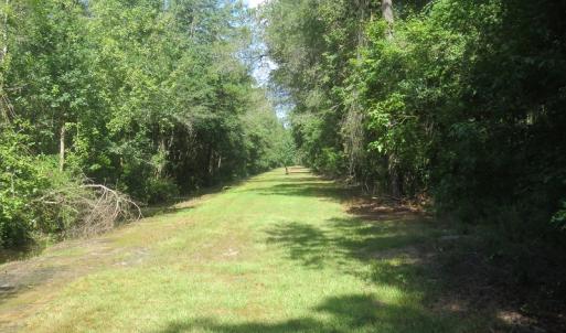 Photo #62 of SOLD property in 27500 NC 210 Hwy E, Currie, NC 330.0 acres