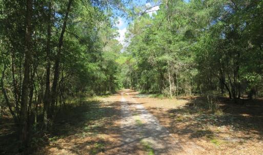 Photo #63 of SOLD property in 27500 NC 210 Hwy E, Currie, NC 330.0 acres