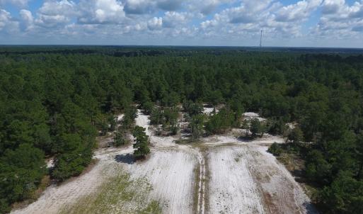 Photo #9 of SOLD property in 27500 NC 210 Hwy E, Currie, NC 330.0 acres