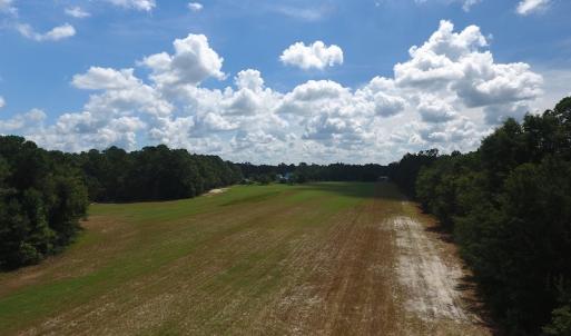 Photo #10 of SOLD property in 27500 NC 210 Hwy E, Currie, NC 330.0 acres
