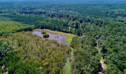 Photo #7 of SOLD property in 10431 Lake Royale Road, Spring Hope, NC 114.7 acres
