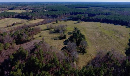 Photo #16 of SOLD property in Off Lynch Road, Hollister, NC 271.9 acres