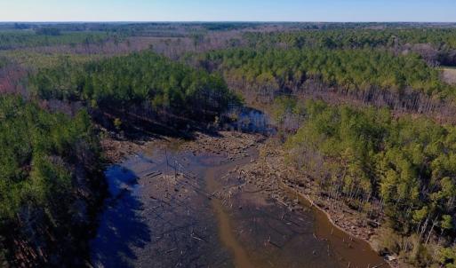 Photo #23 of SOLD property in Off Lynch Road, Hollister, NC 271.9 acres