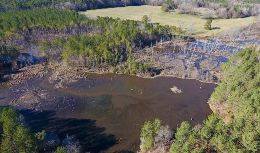 Photo #24 of SOLD property in Off Lynch Road, Hollister, NC 271.9 acres