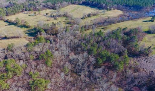 Photo #26 of SOLD property in Off Lynch Road, Hollister, NC 271.9 acres