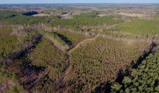 Photo #27 of SOLD property in Off Lynch Road, Hollister, NC 271.9 acres