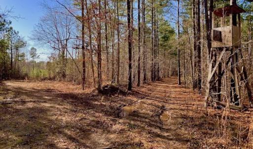 Photo #30 of SOLD property in Off Lynch Road, Hollister, NC 271.9 acres