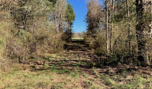Photo #36 of SOLD property in Off Lynch Road, Hollister, NC 271.9 acres