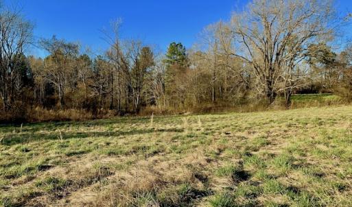 Photo #41 of SOLD property in Off Lynch Road, Hollister, NC 271.9 acres
