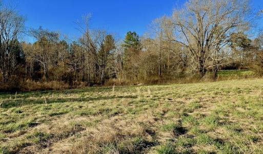 Photo #41 of SOLD property in Off Lynch Road, Hollister, NC 271.9 acres