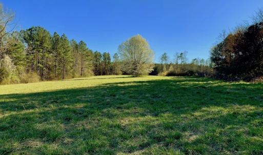 Photo #43 of SOLD property in Off Lynch Road, Hollister, NC 271.9 acres