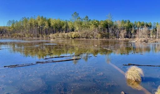 Photo #45 of SOLD property in Off Lynch Road, Hollister, NC 271.9 acres