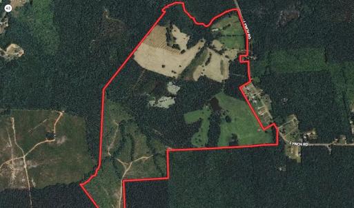 Photo #46 of SOLD property in Off Lynch Road, Hollister, NC 271.9 acres