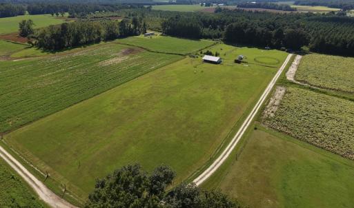 Photo #12 of SOLD property in Off Highway 124, Macclesfield, NC 8.0 acres
