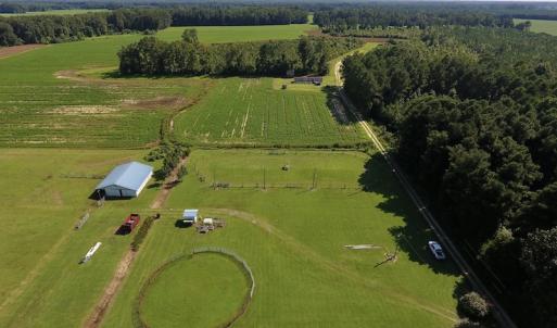 Photo #17 of SOLD property in Off Highway 124, Macclesfield, NC 8.0 acres