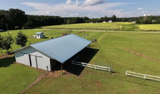 Photo #21 of SOLD property in Off Highway 124, Macclesfield, NC 8.0 acres