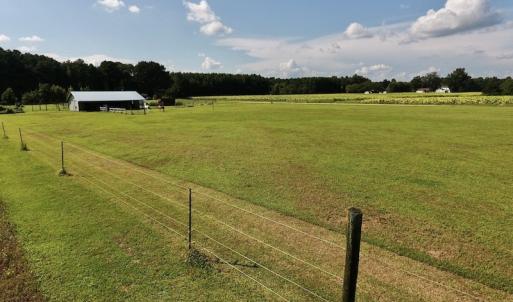 Photo #23 of SOLD property in Off Highway 124, Macclesfield, NC 8.0 acres