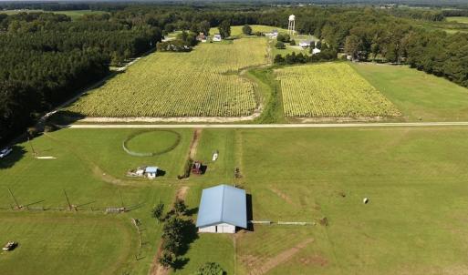 Photo #6 of SOLD property in Off Highway 124, Macclesfield, NC 8.0 acres