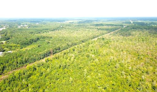 Photo #2 of SOLD property in Off Okelly Road, Suffolk, VA 113.0 acres