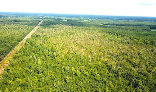 Photo #3 of SOLD property in Off Okelly Road, Suffolk, VA 113.0 acres