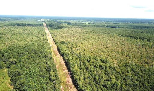 Photo #4 of SOLD property in Off Okelly Road, Suffolk, VA 113.0 acres