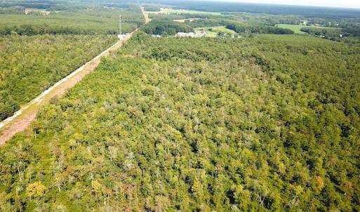 Photo #6 of SOLD property in Off Okelly Road, Suffolk, VA 113.0 acres