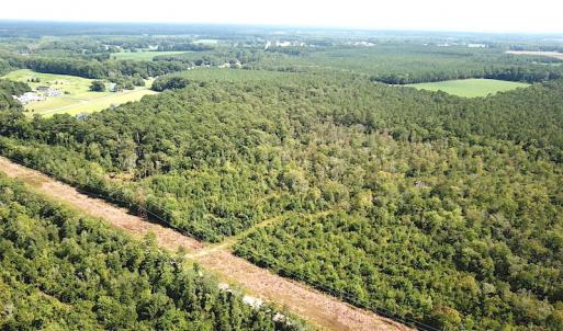 Photo #9 of SOLD property in Off Okelly Road, Suffolk, VA 113.0 acres