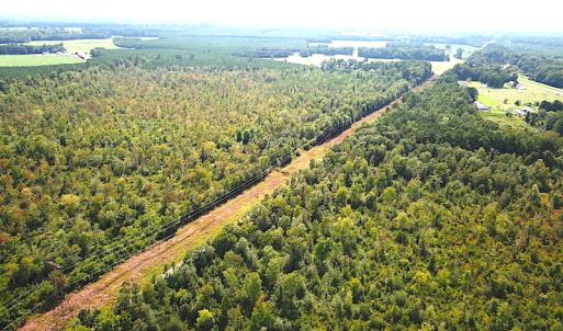 Photo #10 of SOLD property in Off Okelly Road, Suffolk, VA 113.0 acres