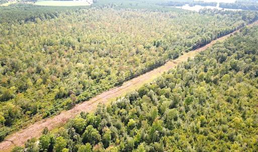 Photo #11 of SOLD property in Off Okelly Road, Suffolk, VA 113.0 acres