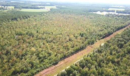 Photo #12 of SOLD property in Off Okelly Road, Suffolk, VA 113.0 acres