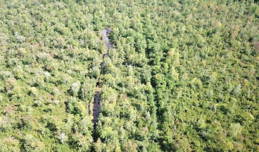 Photo #14 of SOLD property in Off Okelly Road, Suffolk, VA 113.0 acres