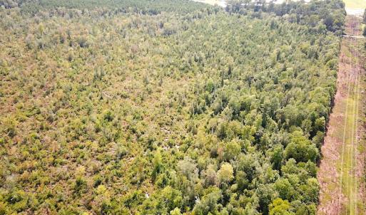 Photo #15 of SOLD property in Off Okelly Road, Suffolk, VA 113.0 acres