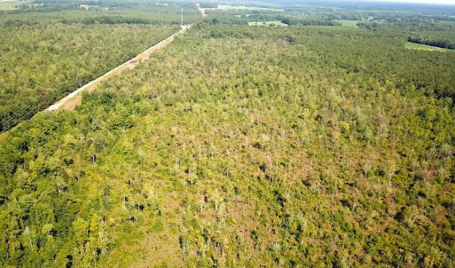 Photo #16 of SOLD property in Off Okelly Road, Suffolk, VA 113.0 acres