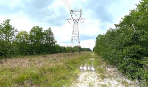 Photo #17 of SOLD property in Off Okelly Road, Suffolk, VA 113.0 acres