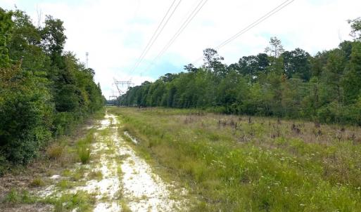 Photo #18 of SOLD property in Off Okelly Road, Suffolk, VA 113.0 acres