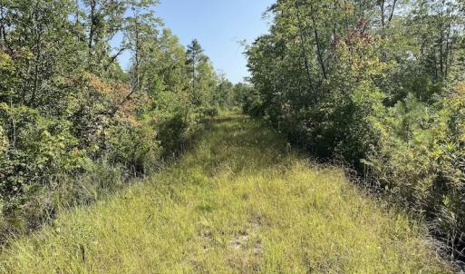 Photo #19 of SOLD property in Off Okelly Road, Suffolk, VA 113.0 acres