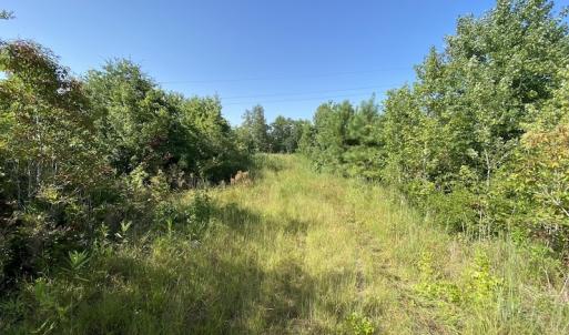 Photo #21 of SOLD property in Off Okelly Road, Suffolk, VA 113.0 acres