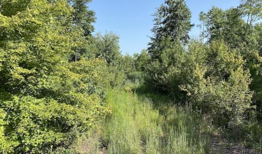 Photo #22 of SOLD property in Off Okelly Road, Suffolk, VA 113.0 acres