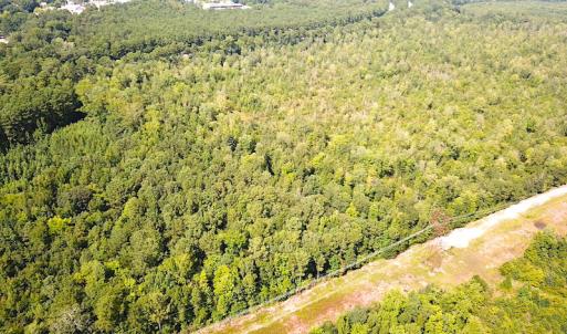 Photo #3 of SOLD property in Off Dutch Road, Holland, VA 103.0 acres