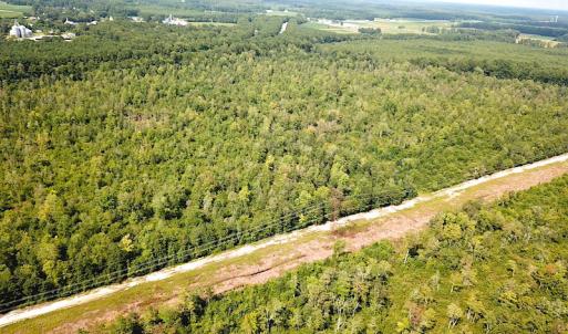 Photo #4 of SOLD property in Off Dutch Road, Holland, VA 103.0 acres