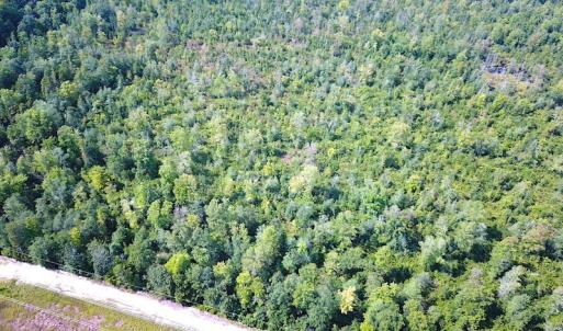 Photo #5 of SOLD property in Off Dutch Road, Holland, VA 103.0 acres