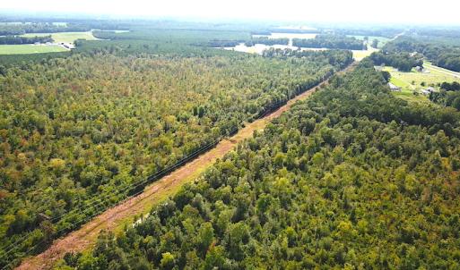 Photo #6 of SOLD property in Off Dutch Road, Holland, VA 103.0 acres