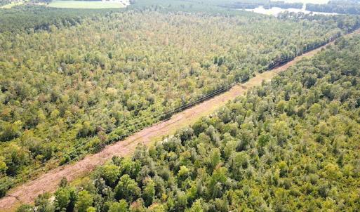 Photo #7 of SOLD property in Off Dutch Road, Holland, VA 103.0 acres