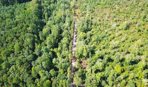 Photo #8 of SOLD property in Off Dutch Road, Holland, VA 103.0 acres