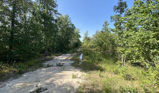 Photo #14 of SOLD property in Off Dutch Road, Holland, VA 103.0 acres
